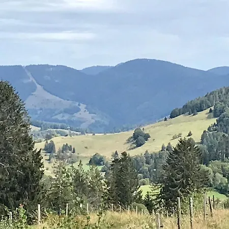 Appartement Ferienhaus Sonnenschein - B55124