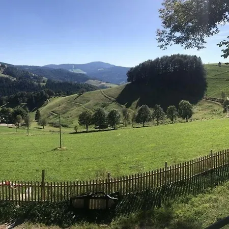 Ferienhaus Sonnenschein - B55124 Kandern
